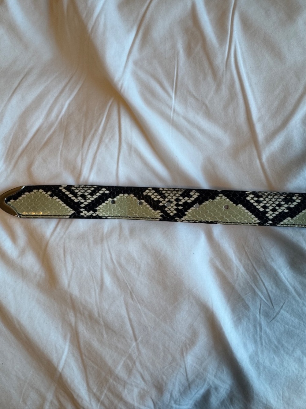 Khaite Benny Python Snake-Embossed Leather Belt Silver Buckle Size 80 - Picture 7 of 7
